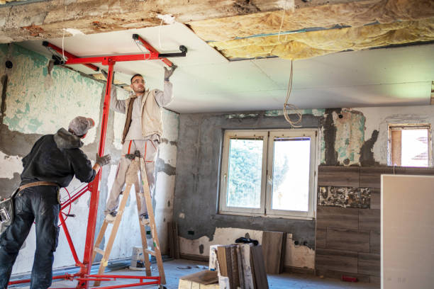 Best Eco-Friendly Insulation in Morehead, KY