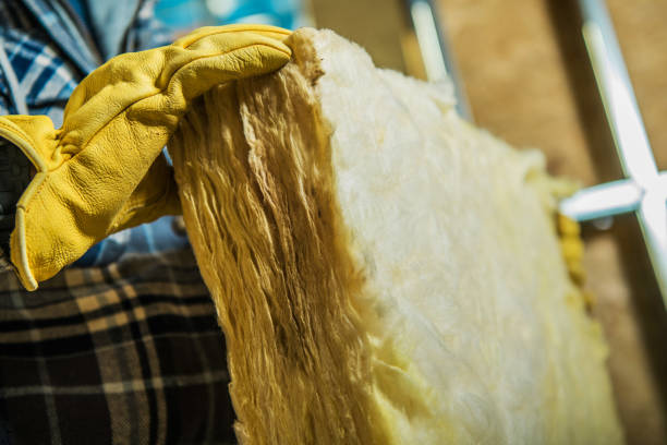 Best Insulation Maintenance and Repair in Morehead, KY