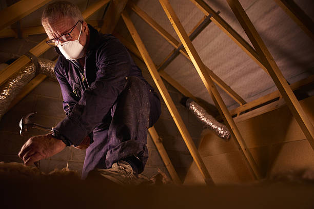 Best Cellulose Insulation in Morehead, KY
