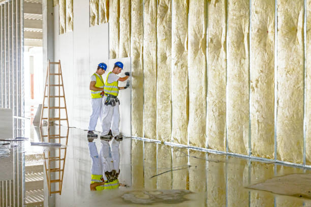 Best Commercial Insulation in Morehead, KY